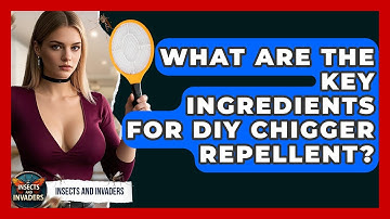 What Are The Key Ingredients For DIY Chigger Repellent? - Insects and Invaders