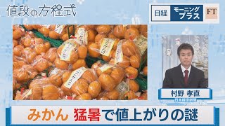 みかん 猛暑で値上がりの謎【日経モープラFT】（2024年2月13日）