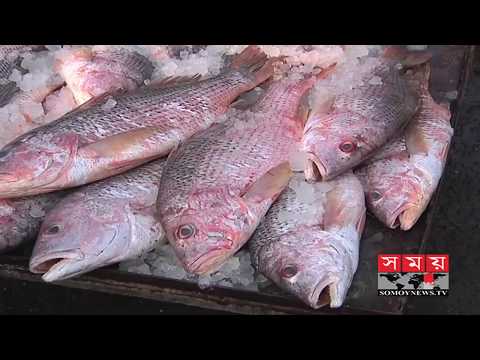 বাড়তি দামে বিক্রি হচ্ছে সব রকমের সামুদ্রিক মাছ | Fishes in Bangladesh | Somoy TV