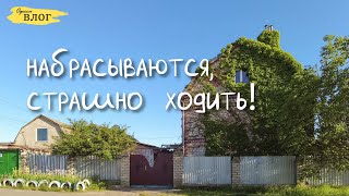 Одесса / Набрасываются. Страшно ходить / Красивое место