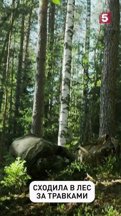 Опасный лес #спецназ #юмор #приколы #законтайги #криминал #лучшиефильмы ...