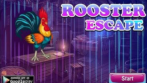 G4K Rooster Escape Walkthrough [Games4King]