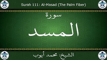 القرآن الكريم بصوت محمد أيوب - سورة المسد
