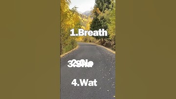 Riddle Me This: The Ultimate Brain Teaser Showdown! #challenge #braintest #funpuzzles #gameplay