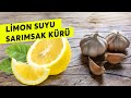 Limon Sarımsak kürü nedir? Nelere iyi gelir? Nasıl Hazırlanır?