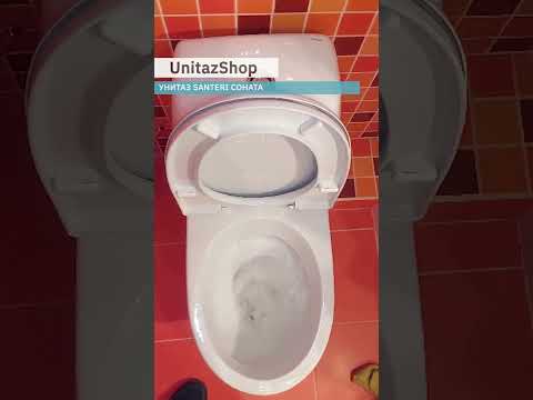Video: Toilet 