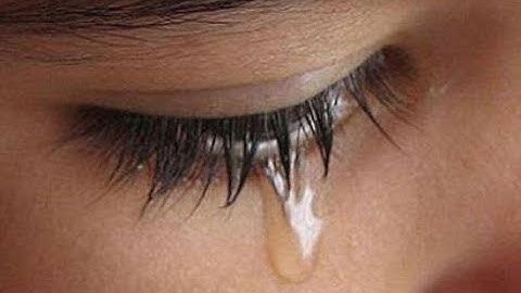 اواخر سورة البقرة بصوت خاشع