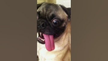 #like #subscribers #and #like4like