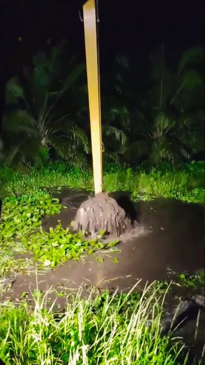 excavator kerja malam hari di lumpur #shorts #excavator