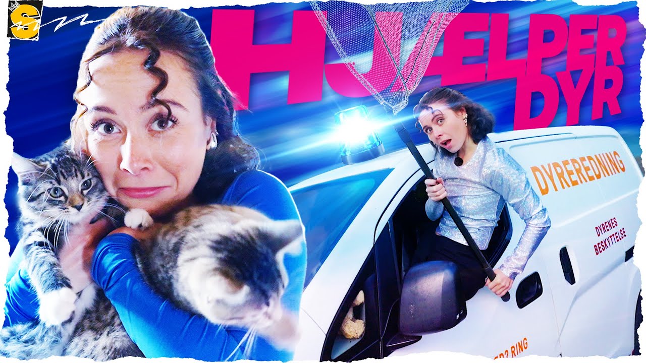 Hjælper SÅREDE dyr med DYREambulancen | STATUS