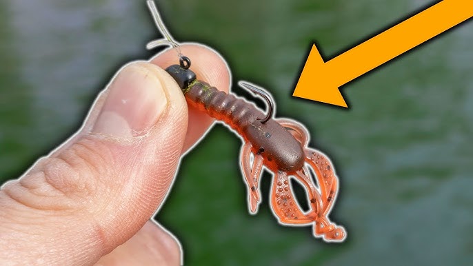 Fishing With MICRO TEXAS RIG For Bass & Bluegill! 