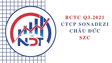 Báo cáo tài chính Q3.2021 CTCP SONADEZI Châu Đức - SZC