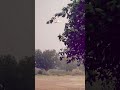 Mast Weather ❤️❤️ #barish #trending #shortvideo #viral