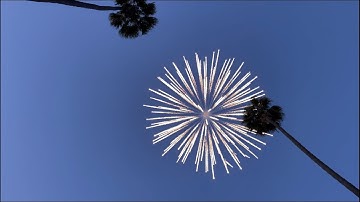 4” Coconut Shell Firework 🥥🌴