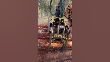 “Mastering the Forwarder:High-tech Innovation in Action” #lumberjack #forest #johndeere #viralvideo