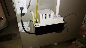 Little Giant Condensate Pump Replacement