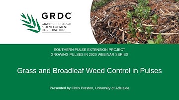 Growing Pulses in 2020 | Broadleaf and grass weed control in Pulses