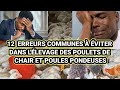 12  erreurs communes  viter dans llevage des poulets de chair et les poules pondeuses