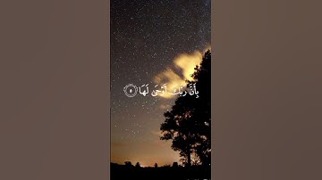 سوره الزلزله 🎧 هزاع البلوشي