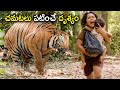 Mohanlal telugu biggest tiger fight scene  mohanlal  namitha  tollywood pictures