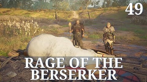 Rage of the Berserker | Assassin