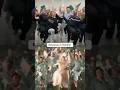#arianagrande Ariana Grande’s Wicked #wicked #glinda #shorts