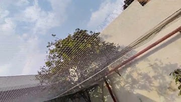 garden bird monkey peacock control net installation call for booking 8800948180