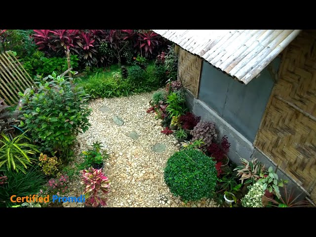 PINOY EXTRAORDINARY GARDEN, PARAISO SA GUBAT 3 class=