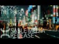 Edm  diizzy  the prism sable media release