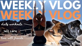 WEEKLY VLOG #42 - Life in the US...