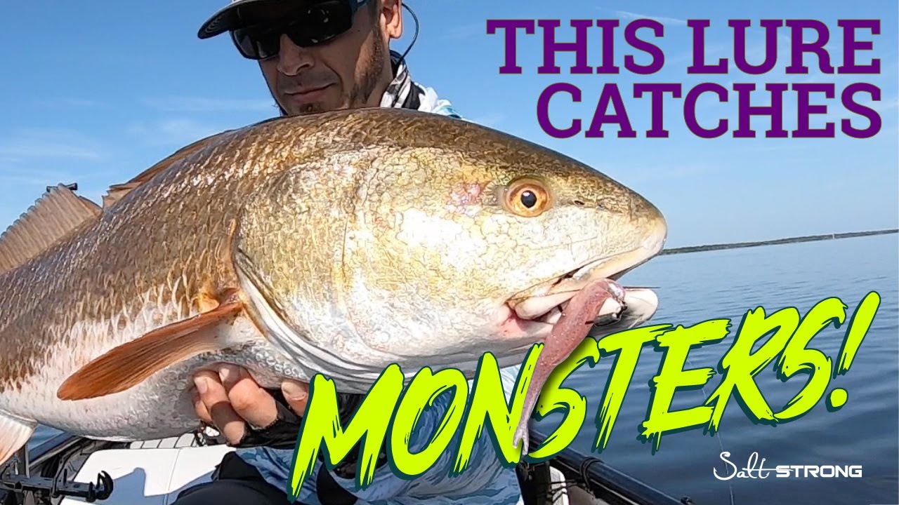 THIS Lure Reels In Monsters! (#1 Lure Color For Fall Giants) 