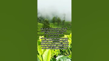 সূরা আল-মায়েদা | Al-Ma'ida | سورة المائدة আয়াত নাম্বার ১৯ মাদানী Abdulla Bin Aaoun #islamicstudies