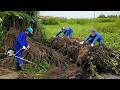 72 Hours Roadside Cleanup: Workers Clear An Overgrown Drainage Ditch Hidden Under Thick Bushes