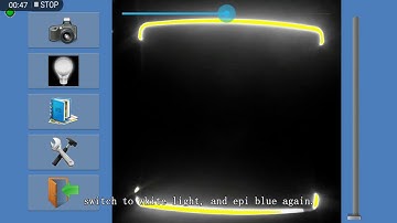 DLAB - Gelsmart - Advanced Transiluminator