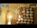 Home made incubator // how to make an egg incubator