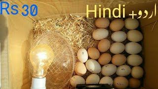 How To Make an Egg incubator at Home // Cardboard Box Egg incubator screenshot 4