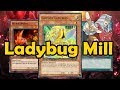 The Golden Ladybug Extra Extra! Mill Deck - YGO Duel Links