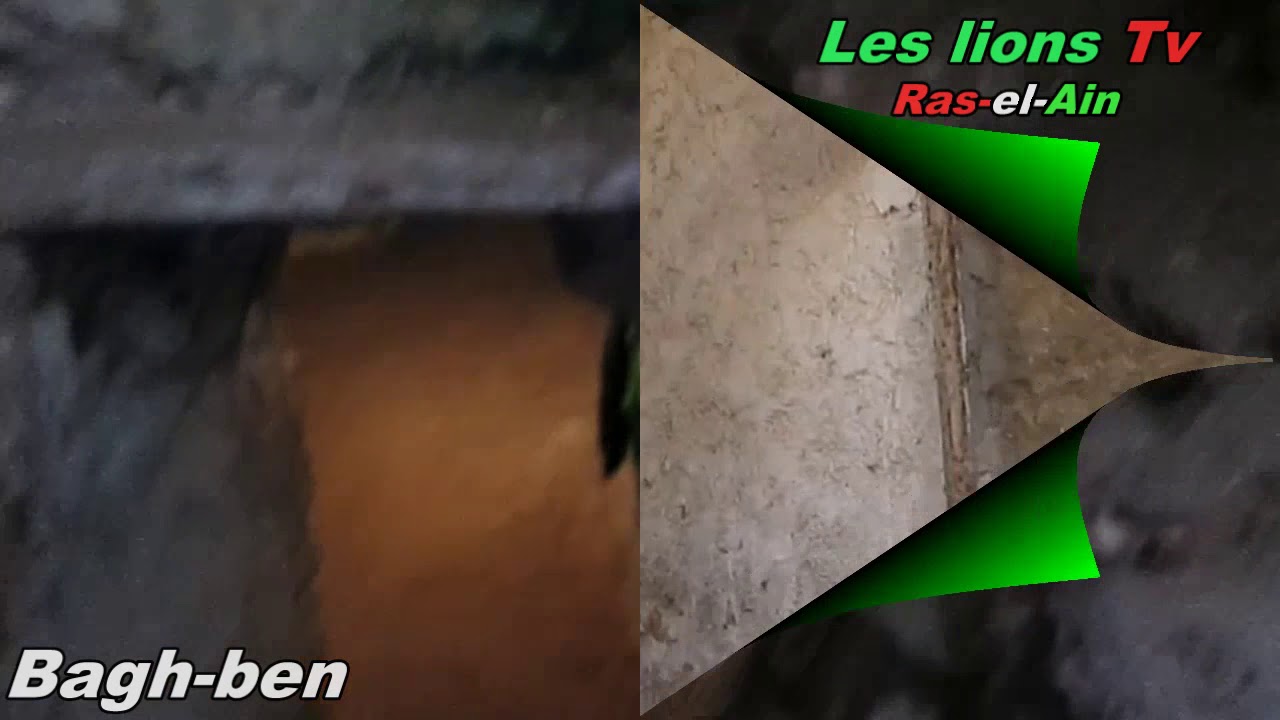 Les Grottes de Ras El Ain
