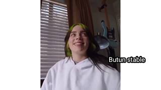 Billie eilish making you happier for 3 minutes straight