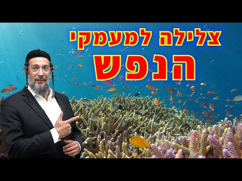 אם תדע מהם הצרכים הסמויים שלך תיפתור בעיות מהר יותר - צלילה למעמקי הנפש - אליהו שירי