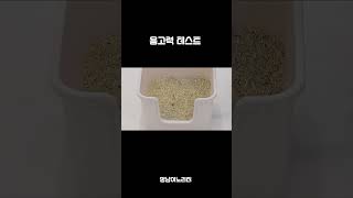 멍냥이노리터 하이브리드 모래 #고양이 #꿀템 #cat #고양이영상 #멍냥이노리터