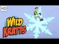 Wild Kratts - How a Snowflake is Formed