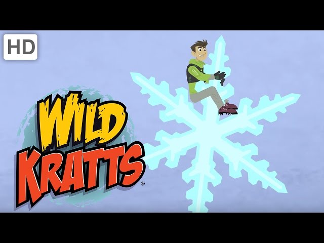 Wild Kratts - How a Snowflake is Formed