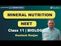 Mineral nutrition  neet  class 11 biology  12 pm class by kamlesh ranjan  vmc