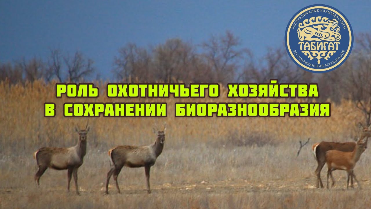 Роль охотничьего хозяйства в сохранение и рациональном использовании ...