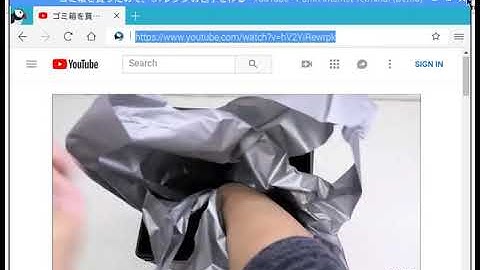 Puffin Internet Terminal和Chromium在Raspberry Pi上的展示與比較