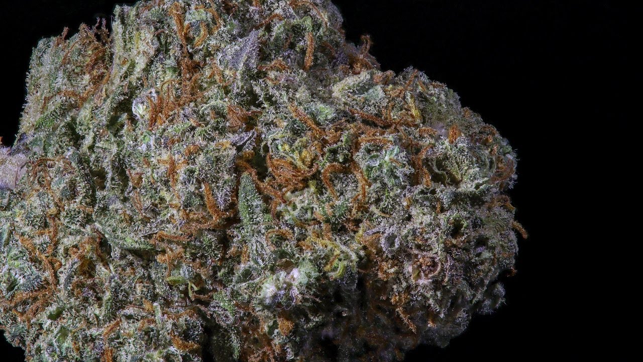 H TOWN HEMP  😁 NEW CBD  FLOWERS 👍🔥