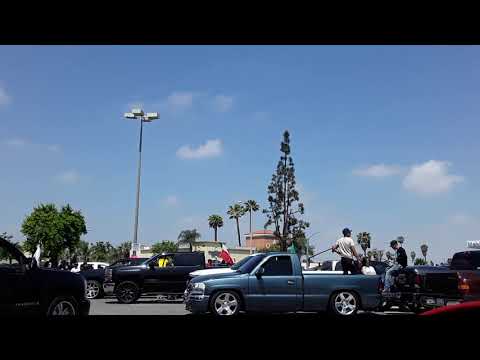 Hidden Cinco De