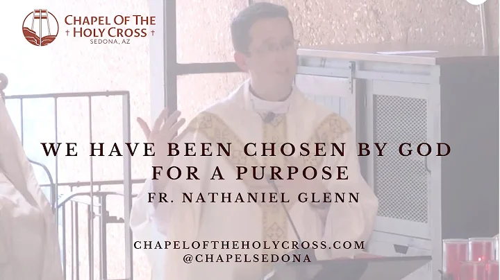 We Have Been Chosen by God for a Purpose - Fr. Nat...