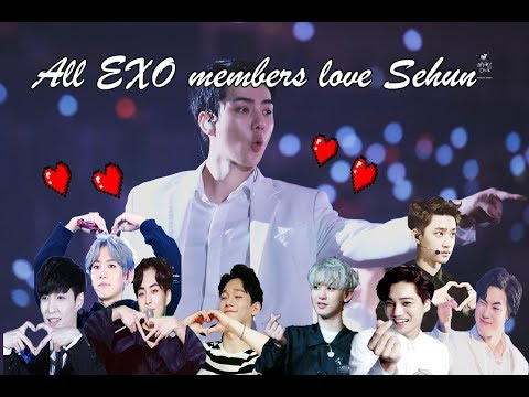 all-exo-members-love-sehun